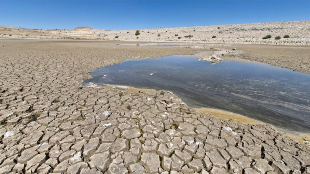 Kuraklık acımasız yüzünü gösteriyor! O barajda bir damla su kalmadı: Balıklar telef oldu 1